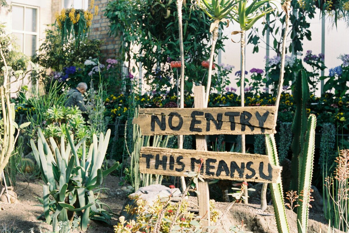 Auckland para veganos: restaurantes, bares, tiendas cruelty-free en Nueva Zelanda